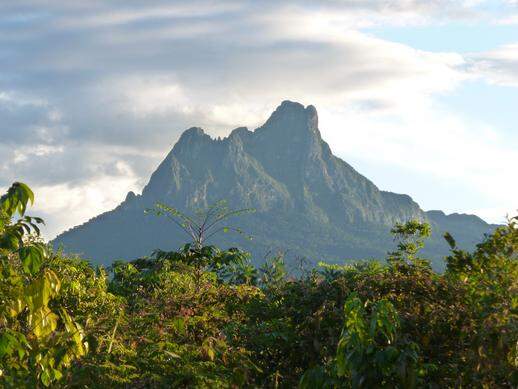 IBGE revê altitude de sete picos brasileiros o da Neblina fica mais alto