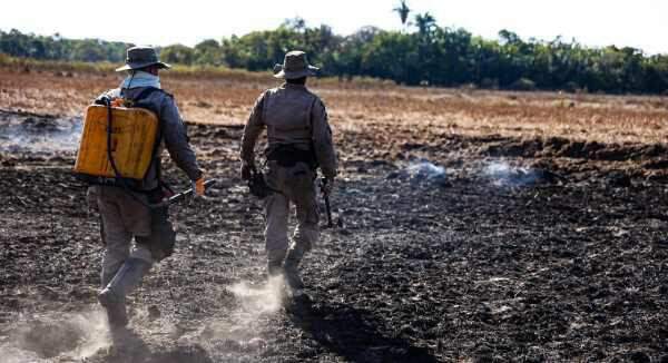 Militares durante combate ao incêndio na operação