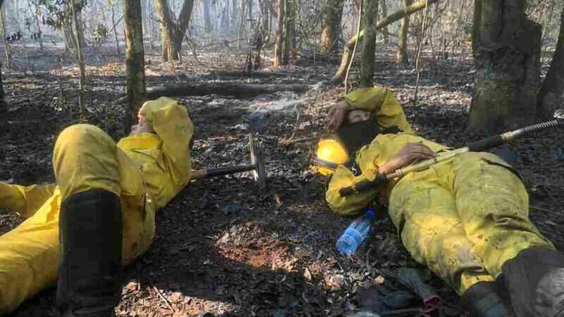 Depois de muito esforço, voluntários descansam em área atingida pelos incêndios