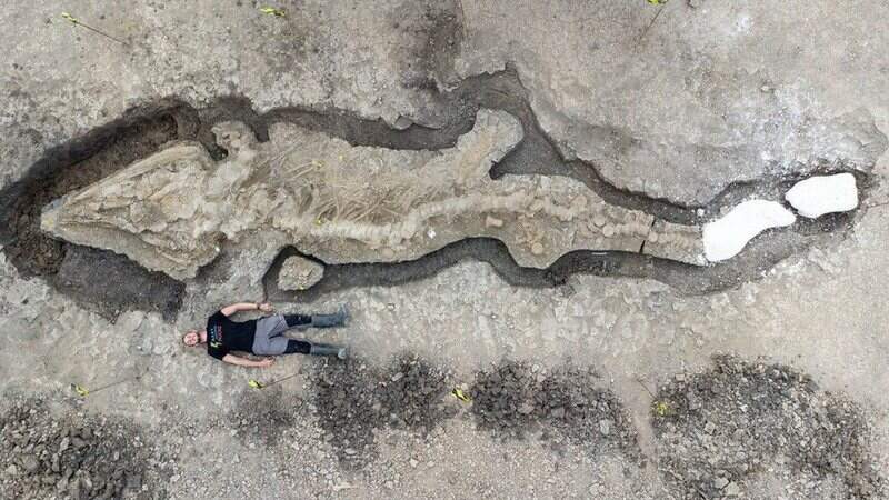 Imagens de drone revelam fóssil gigante
