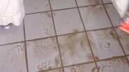 Imagem mostra piso sujo de barro após inundação em quarto de hotel - Reprodução