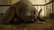 "Dumbo" é estreia da semana nos cinemas de Campo Grande