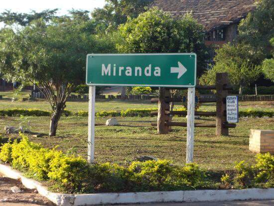 Miranda conta com cerca de 18 mil eleitores (Reprodução, Web)