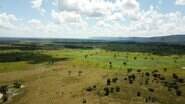 Supressão ilegal de 21,67 hectares de vegetação nativa de cerrado (Foto: PMA) - Supressão ilegal de 21,67 hectares de vegetação nativa de cerrado (Foto: PMA)