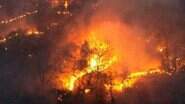 Fazendeiros podem ser responsabilizados por incêndios que devastaram mais de 25 mil hectares no Pantanal. (Foto: Divulgação, PrevfogoMS) - Fazendeiros podem ser responsabilizados por incêndios que devastaram mais de 25 mil hectares no Pantanal. (Foto: Divulgação, PrevfogoMS)