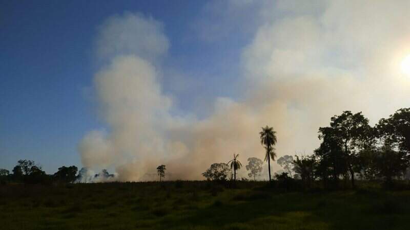 Imagem mostram incêndio em pastagem. Foto: Divulgação