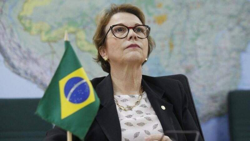 Ministra Tereza Cristina será presidente do PP em MS