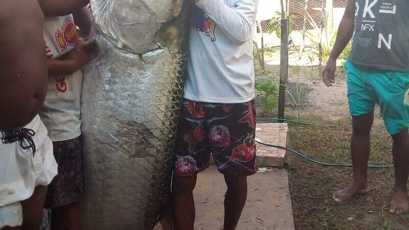 Homem com o peixe de 100kg