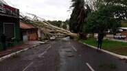 Árvore de grande porte caiu sobre Corolla na Mato Grosso - Marcos Ermínio