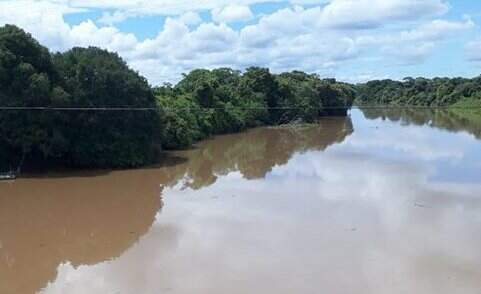 Rio Miranda, um dos principais da região do Pantanal Sul-mato-grossense