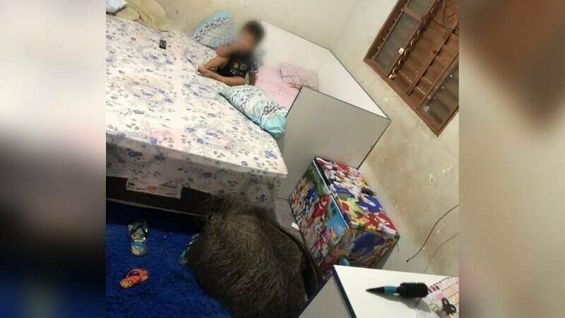 Criança dormia enquanto tamanduá entrou no quarto e deitou no tapete