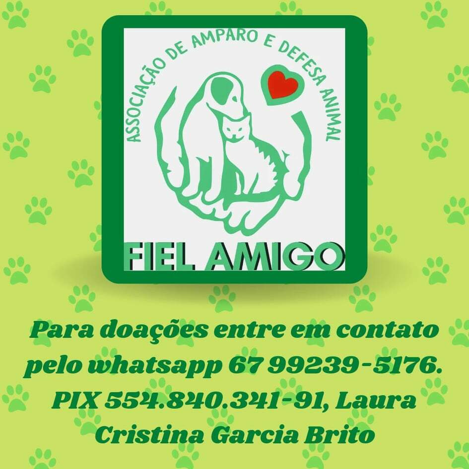 273000574 2902687903355545 3254883851004882285 n - ONG Fiel Amigo pede doações para manter tratamento de pets