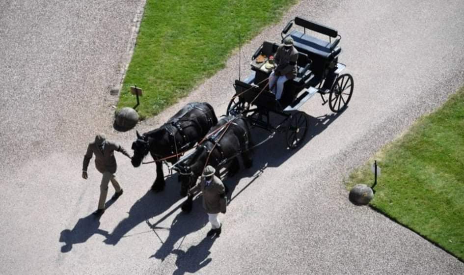 2ae2678f 4564 4d86 9105 399c4e94c67d - Lady Louise herdará carruagem e pôneis do avô, príncipe Philip