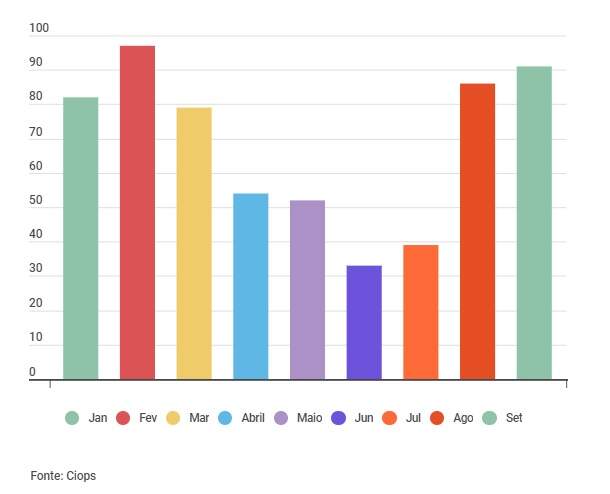 gráfico abelhas 