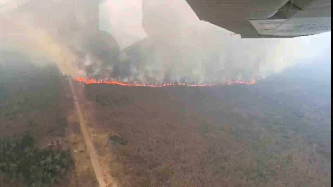 incendios pantanal sobrevoo - VÍDEO: Incêndios no Pantanal em MS triplicam e Bombeiros fazem sepultamento de animais