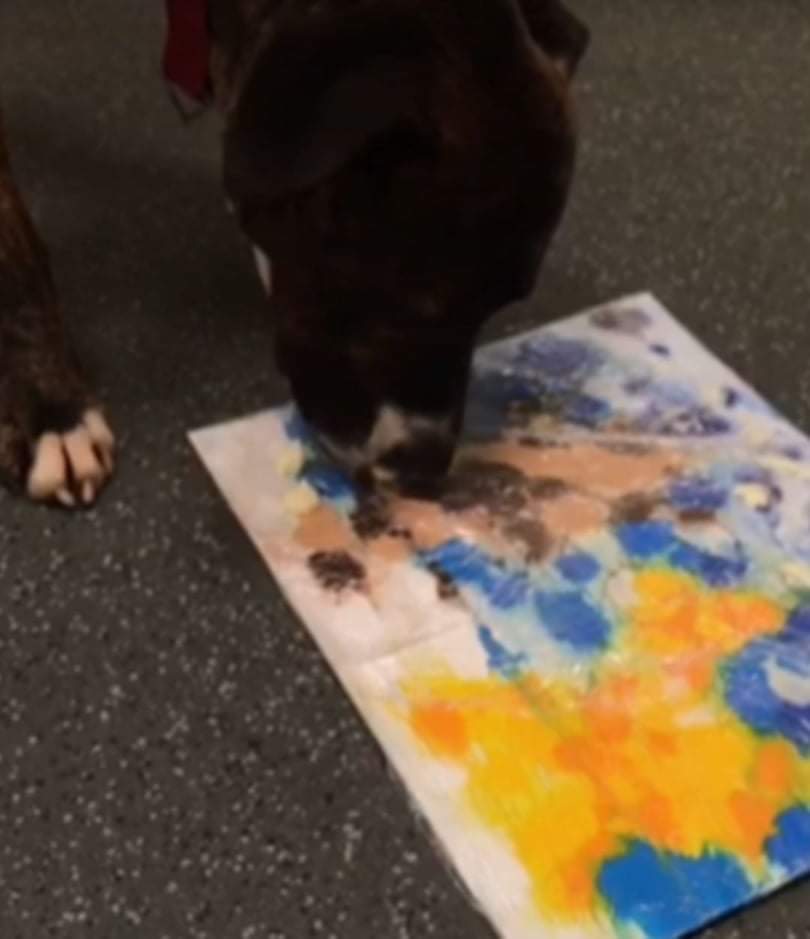 lb banksy 8 - A arte do cão Banksy arrecada £ 500 para a caridade animal de Bristol