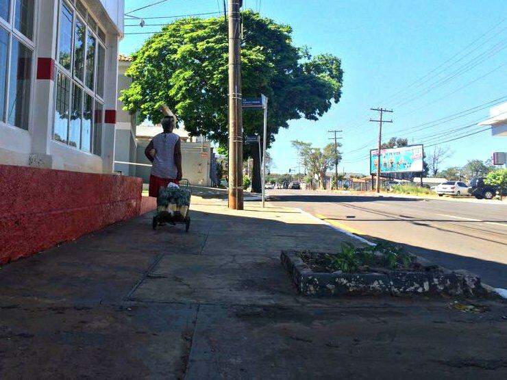 Para criar os filhos e manter a casa, ela caminha o dia inteiro há 30 anos