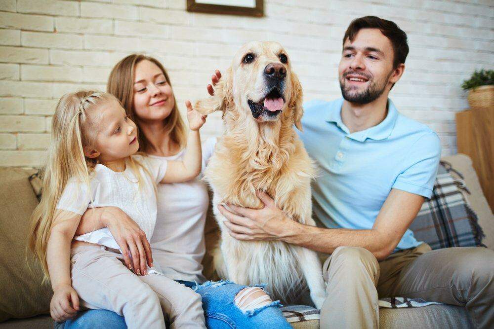 Donos de cães tendem a ser casados e com filhos / Foto: Shutterstock/Divulgação