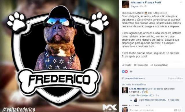 #voltafrederico: após campanha na internet, cão pitbull é localizado