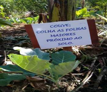 Foto - Reprodução Facebook