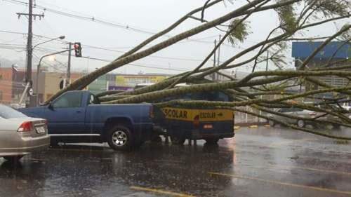 Depois do forte calor, chuva derruba árvore sobre carro e destelha casas