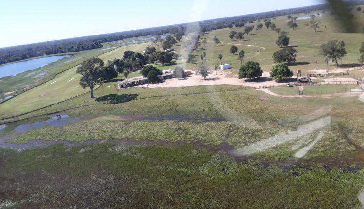 VÍDEO: Veja imagens do resgate da PM a peão ferido por touro no Pantanal