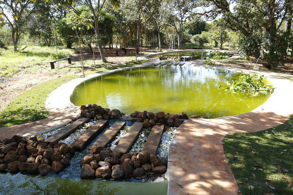 Cleir Ávila cria monumento para homenagear MS