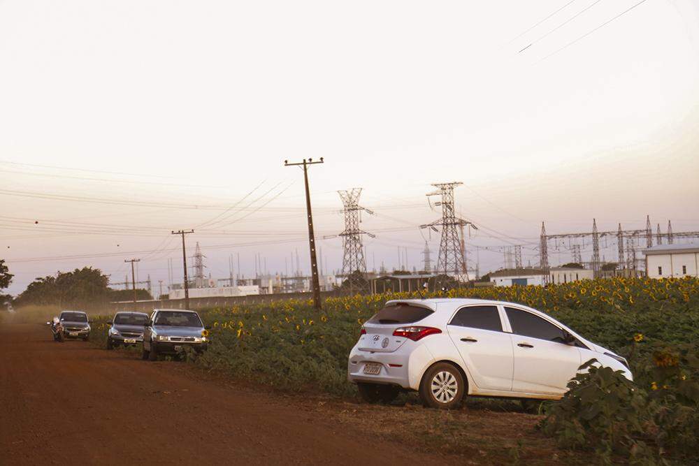Campo de girassóis - Diariamente há carros parados em vários pontos da estrada. (Foto: Henrique Kawaminami)