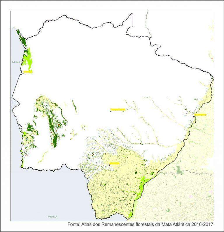 MS é um dos estados com menor total de desmatamento ilegal da Mata Atlântica