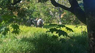 Equipes buscam por tenente de 82 anos que sumiu em mata de Campo Grande ao buscar argila