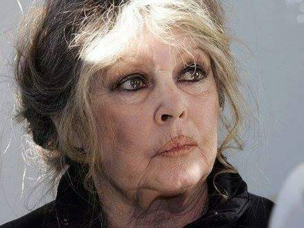 Lágrimas de Combate, Livro-Testamento de Brigitte Bardot.