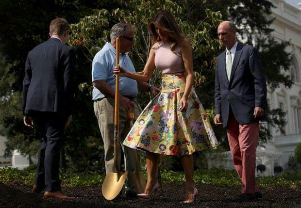 Melania Trump usou saltos para plantar uma árvore na Casa Branca, e a internet se agita.