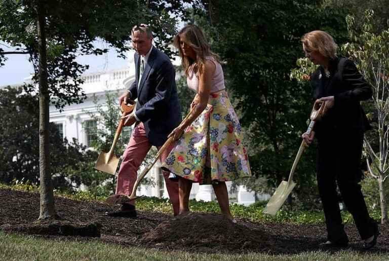 Melania Trump usou saltos para plantar uma árvore na Casa Branca, e a internet se agita.