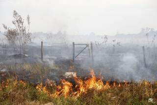 Moradores do Santa Emília tentam combater incêndio com baldes