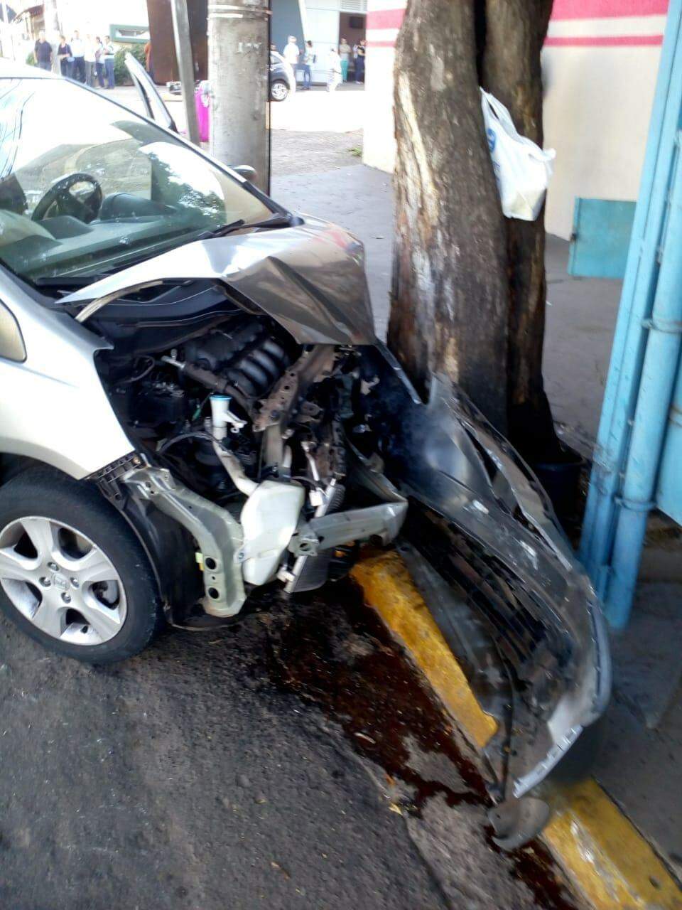 Árvore 'salva' três mototaxistas após acidente na Treze de Maio