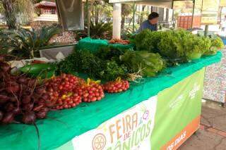 Prefeitura paga R$ 3,9 milhões a cooperativas agrícolas por alimentação escolar