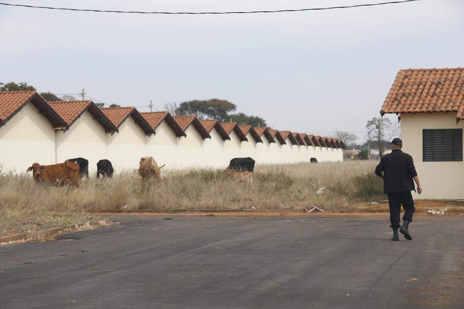 Mesmo com déficit de 42 mil casas, residencial do Minha Casa Minha Vida vira pasto para gado