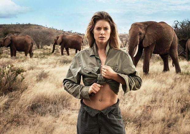 Coleção Save the Wild da Tiffany apoia projetos de proteção de animais