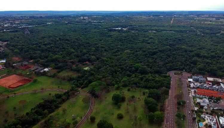 Com quase 230 mil árvores, Campo Grande é uma das capitais mais arborizadas do país