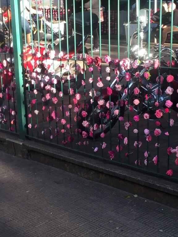 Rosas de crochê enfeitam fachada de hospital feminino.