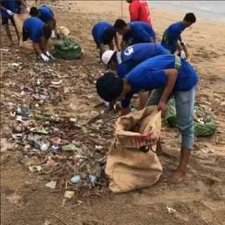 Labradora de sete anos ganha fama por ajudar limpar o oceano