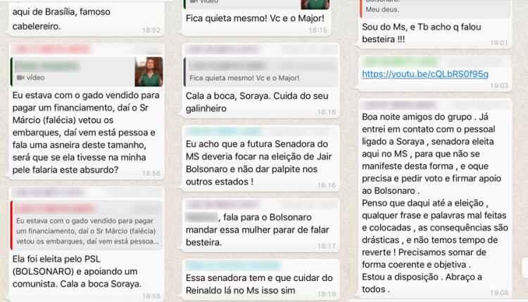 Senadora do partido de Bolsonaro eleita em MS apoia aliado de Haddad em SP e revolta colegas