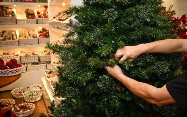 Você sabia que a cada ano existe uma data para montar a árvore de Natal?
