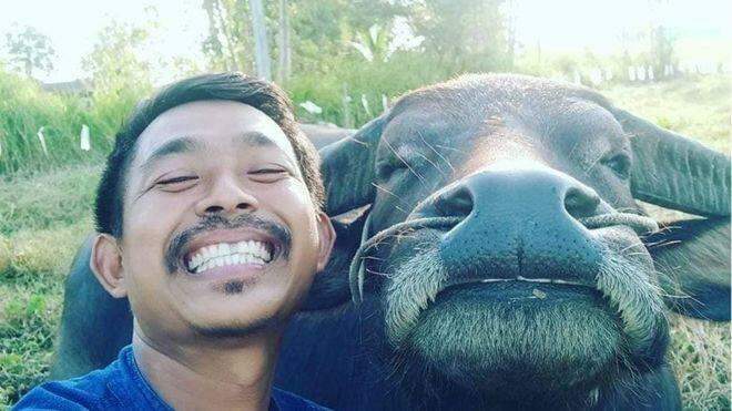 Agricultor viralizou na internet graças às selfies com seu amigo búfalo.