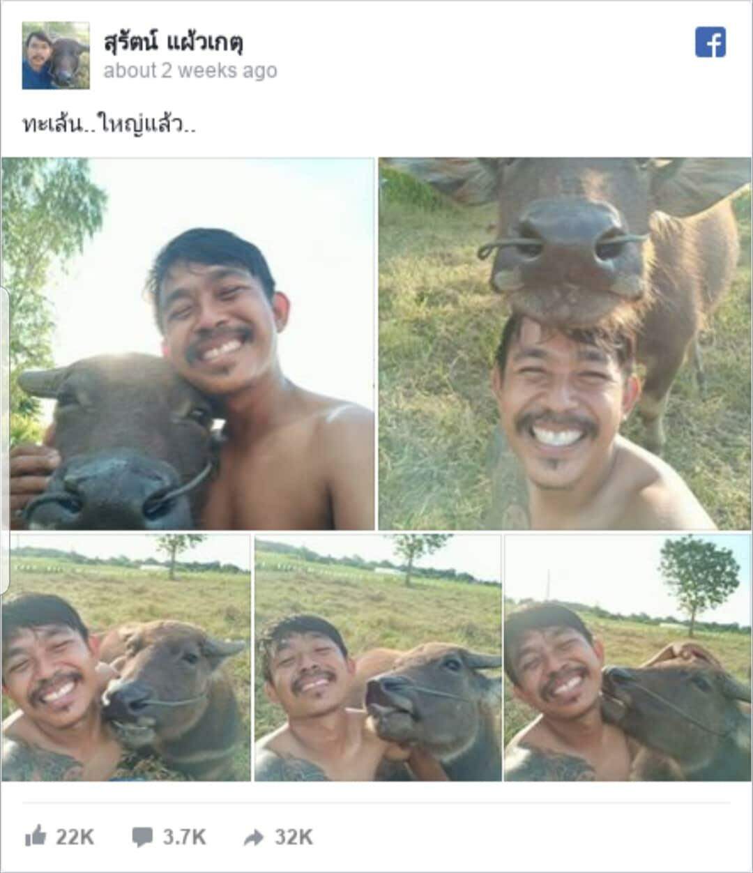 Agricultor viralizou na internet graças às selfies com seu amigo búfalo.