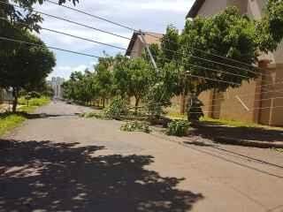 VÍDEO: Caminhão derruba 8 postes e deixa bairro sem luz em Campo Grande