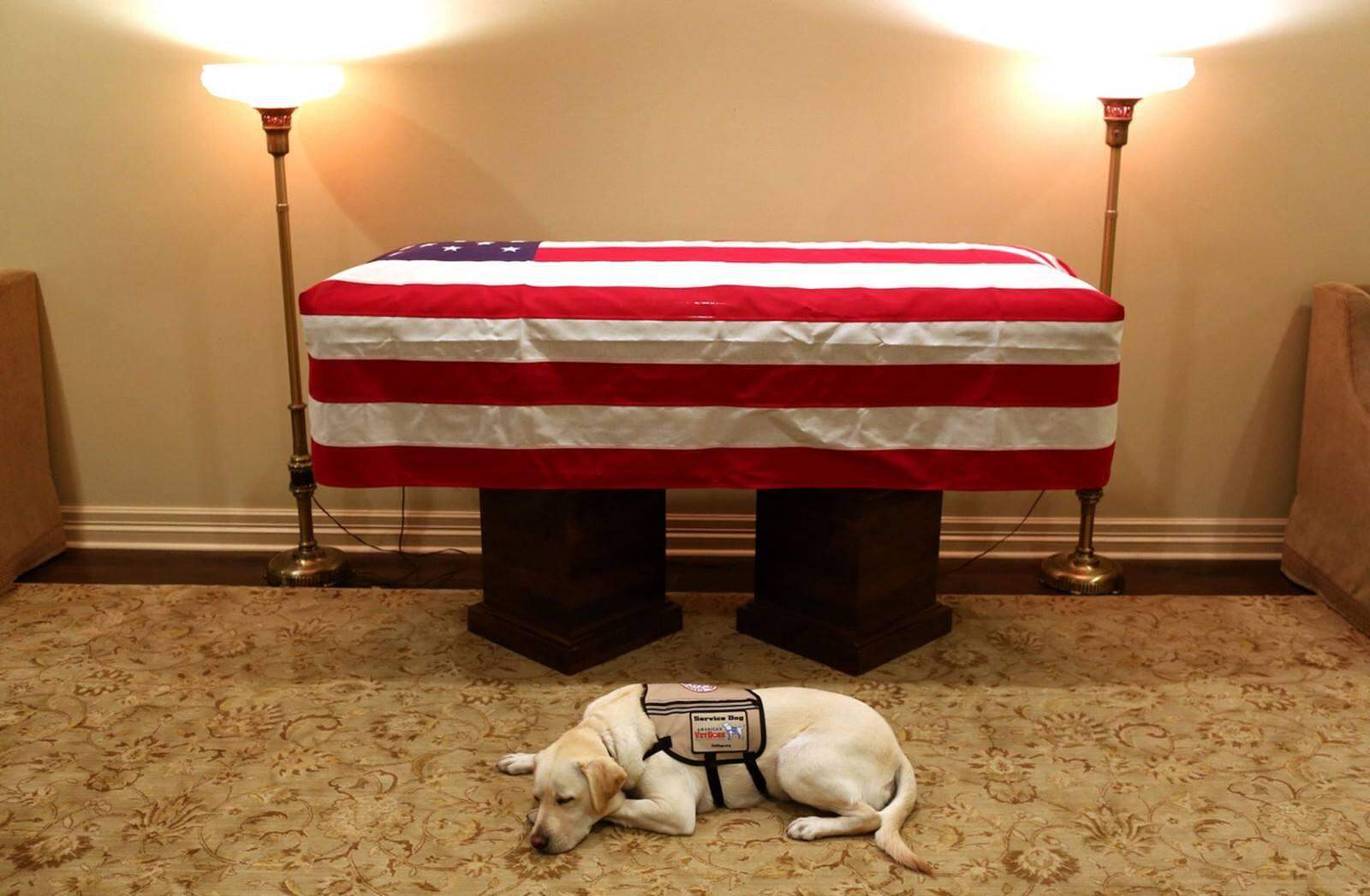 Cachorro que acompanhava George H.W. Bush é visto deitado ao lado do caixão.