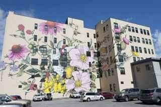 Artista transforma edifícios em telas florais