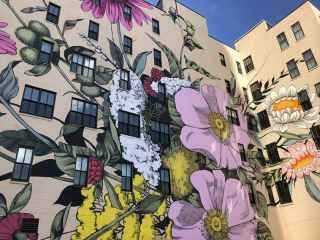 Artista transforma edifícios em telas florais