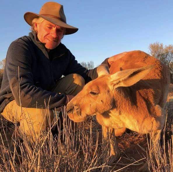 Morre Roger, o canguru lendário, residente do The Kangaroo Sanctuary.